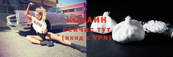 стаф Белоозёрский
