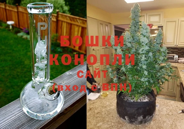 эйфоретик Белокуриха
