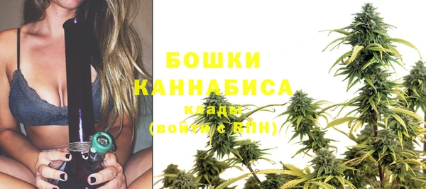 стаф Белоозёрский