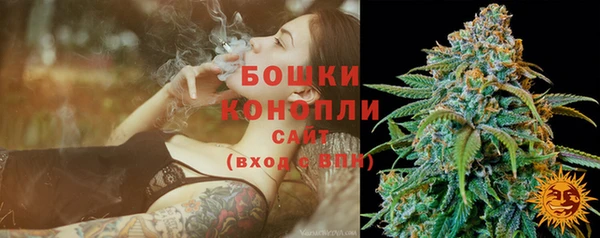 эйфоретик Белокуриха